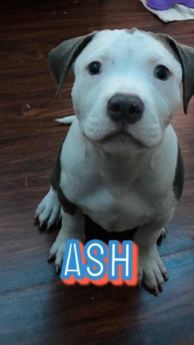 Looking for a safe home