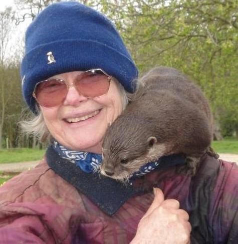 Otters for sale to good homes