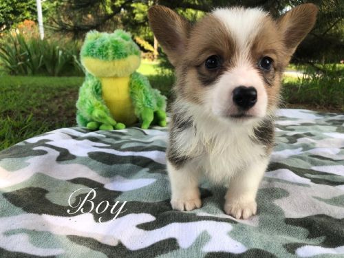 Price drop this weekend