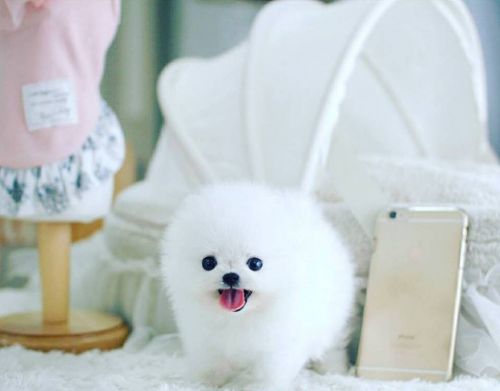 Special Person For Special Girl