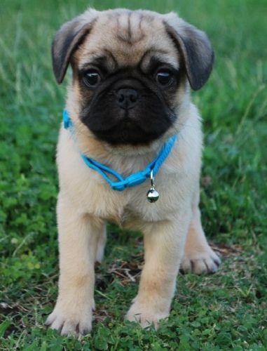 Here is our ready to leave