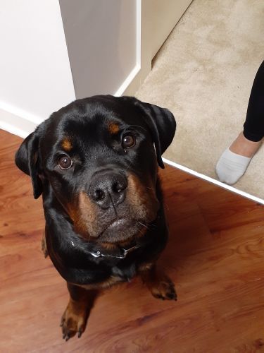 Selling our BearBear