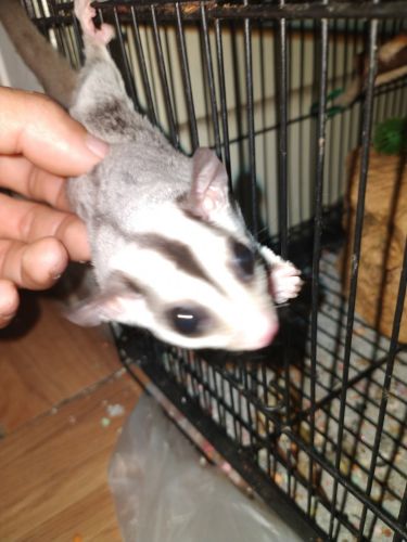 There all family from same mom