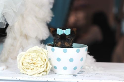 WE SHIP NATIONWIDE // MAKE ME AN OFFER