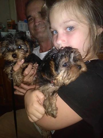 I HVAE BOTH MALE AND FEMALE POMERANIAN PUPPIES FOR NEW HOMES