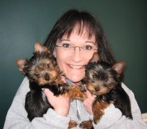 Teacup Yorkies puppies..call(***) ***-***6