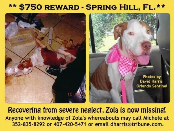 Zola is missing