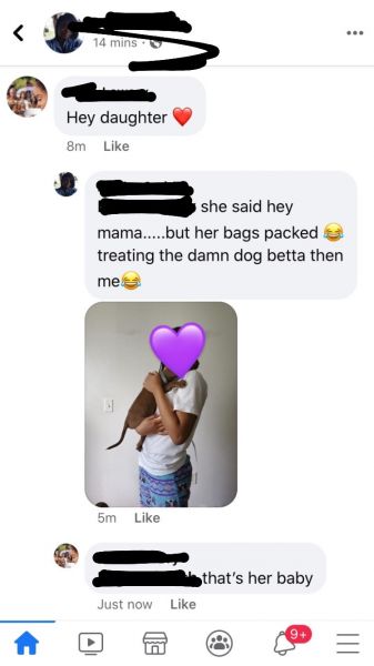 Red Nose Pet Bull , Loving , Caring Dog