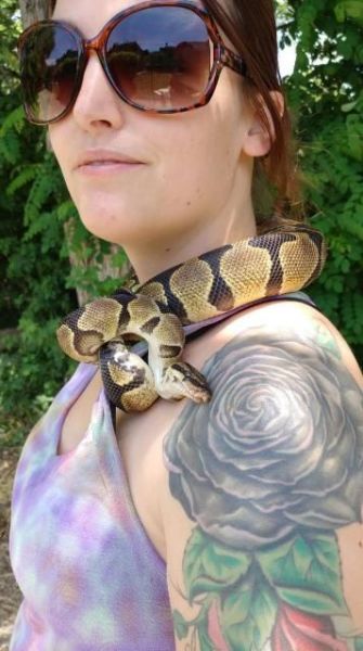 Ball Python in 40 gallon breeder with full setup