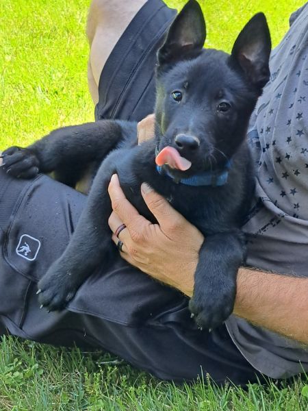 Beautiful Mals- MUST SEE