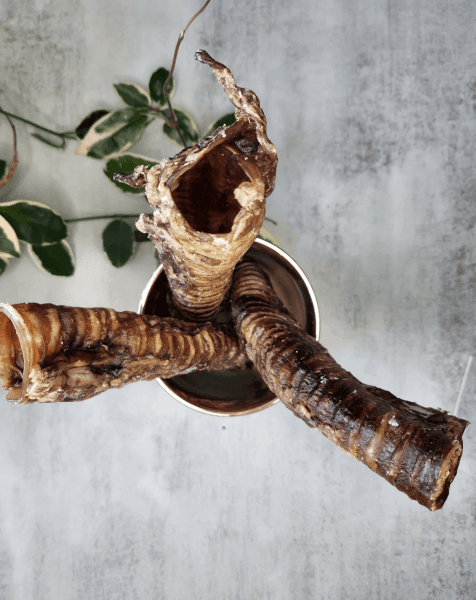 Raw Beef Trachea for Dogs in Miami | Raw Instincts Mia