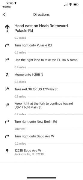 Boston Terrier-Jacksonville Fl