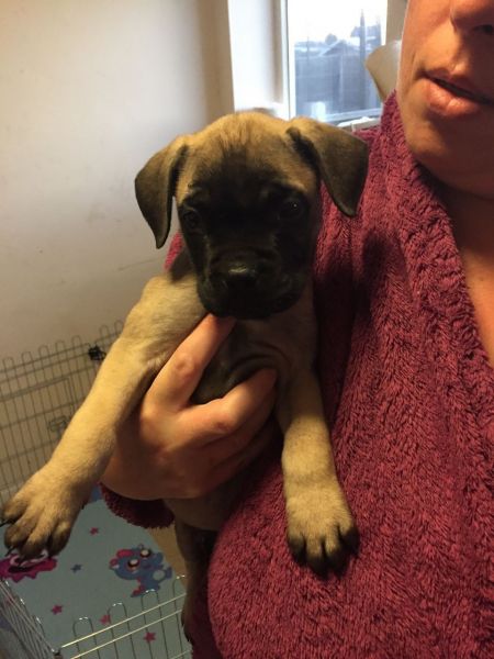 2 Girls and boys Left Final Reduction In Price