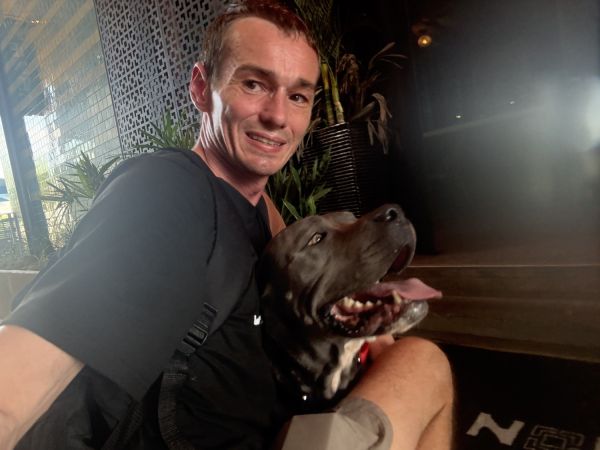 Donna, pitbull/cane corso sweetheart