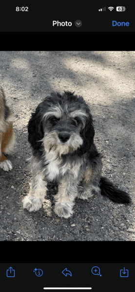 Tucker looking for a new home