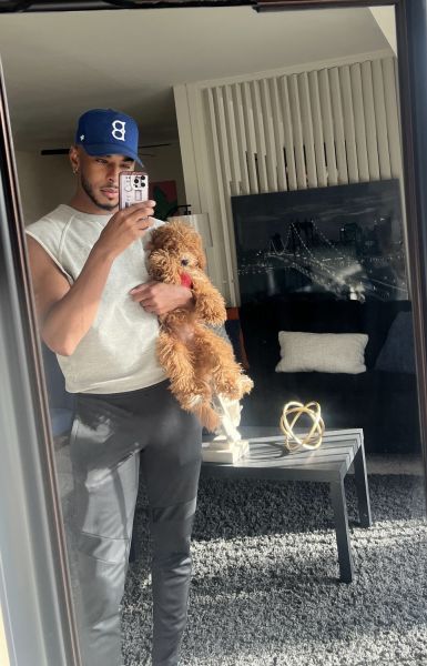 Cavapoo for sale in ***