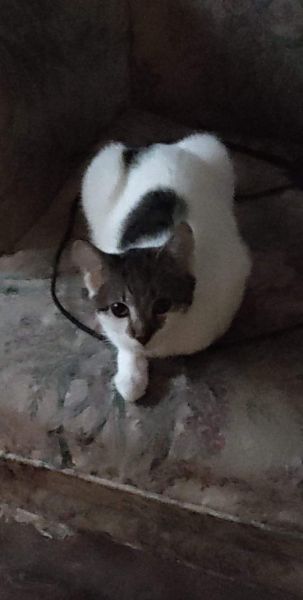 Can't have her no more either there so much going on