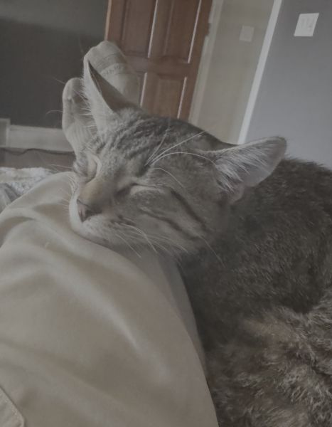 TJ with the white boots