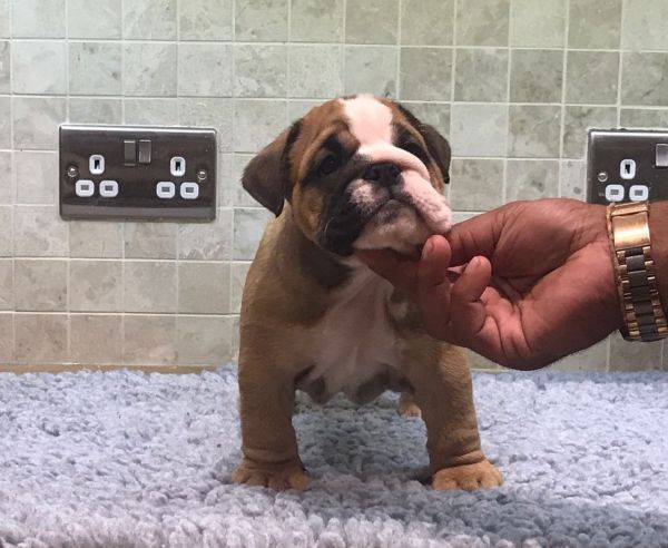 Ready To Go 3 Lovely Boys