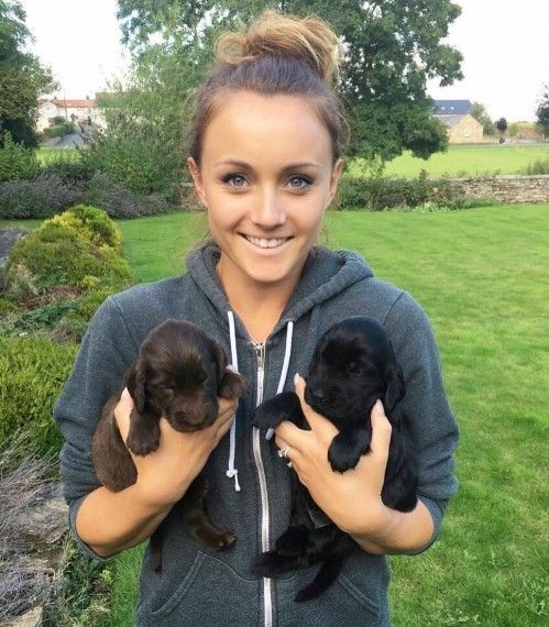 Kc Registered Flatcoated Retriever Puppies