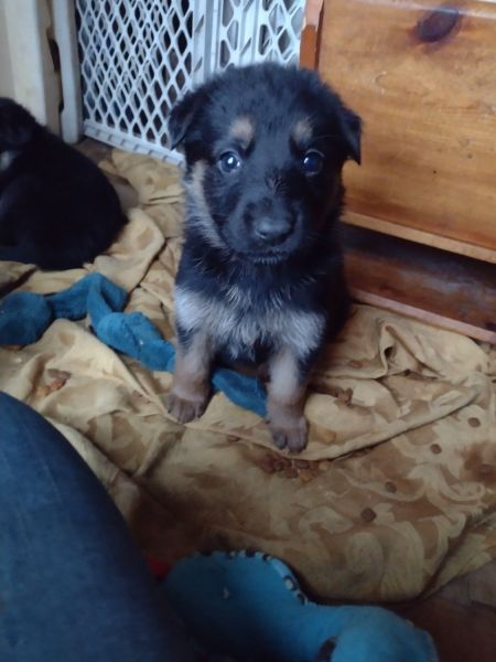 Family, Best Friend, Protection