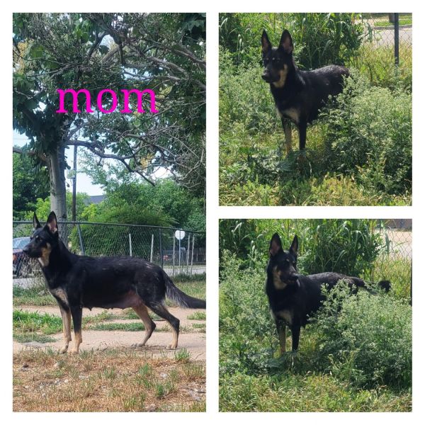 3 little girls left!