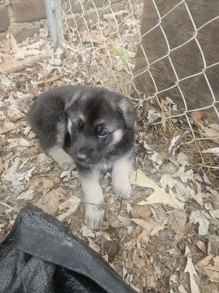 Green is ready for a new home