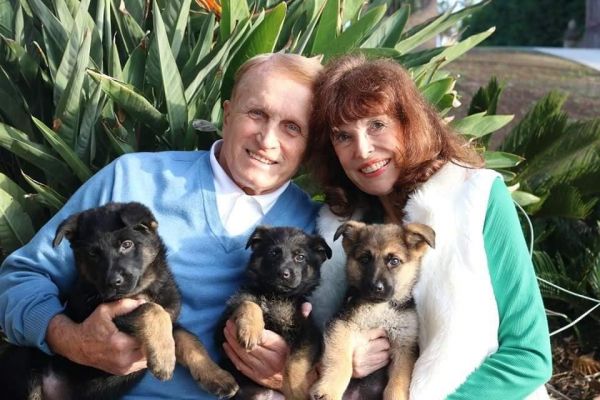 German Shepherd Puppies