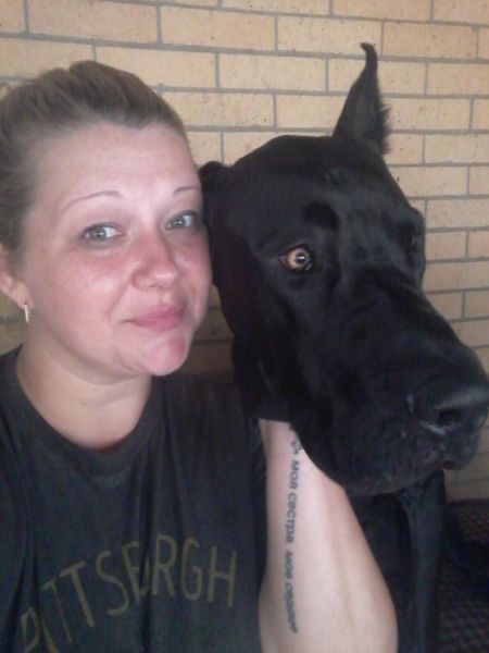 PART EURO GREAT DANE PUPPIES