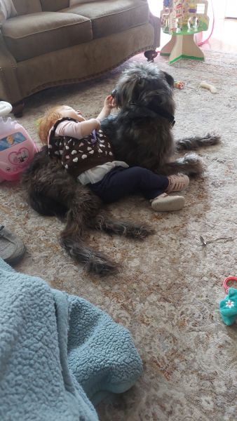 Wonderful loving companion!