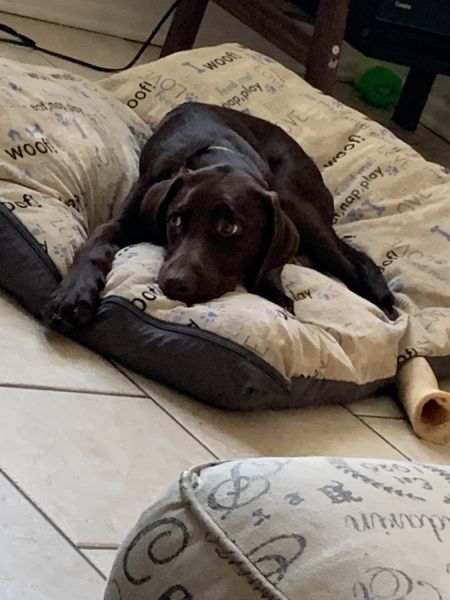 Loyal Prince a Friend for Life!