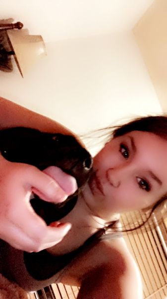 12 week old male mastiff lab