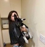 Cute puppies ready for a new home