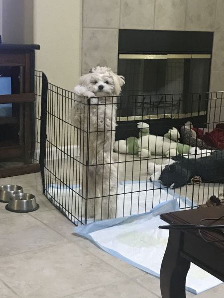 We don’t have time to take care of It