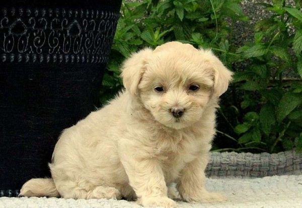 Handsome Jon looking for a good home