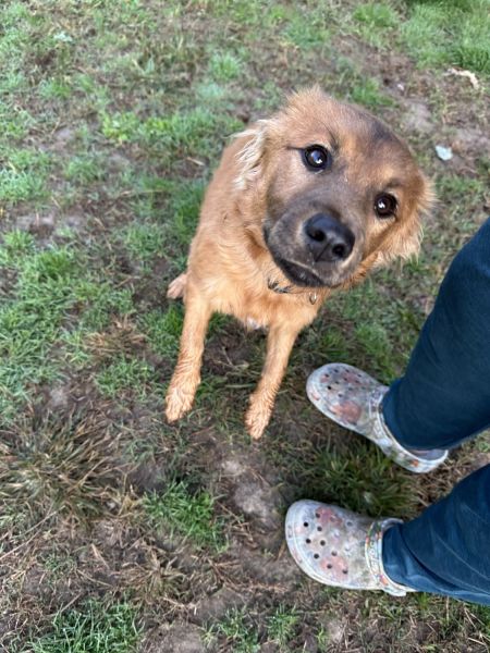 Daphne Special Needs