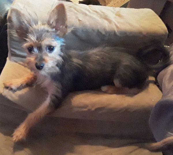 Tiny Tiny little girl