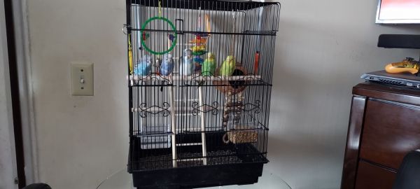 5 colorful little gems