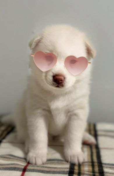 I am the goddess of Love 💕