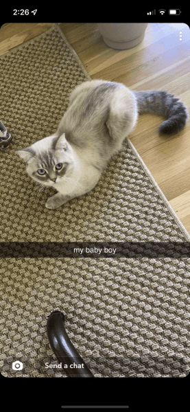 Hey, my name is McLean