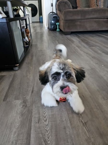 Vendo muy barato en Long Island NY