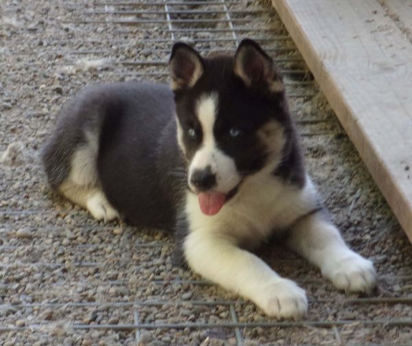 Take me home with you!