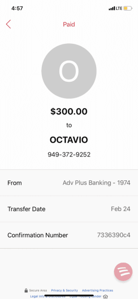 12 Weeks Female Siberian Husky Puppy For Sale