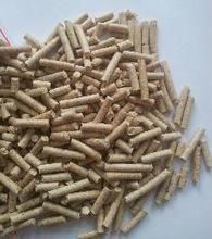 Amazing Bushmaster Snake For Sale (***) ***-***4