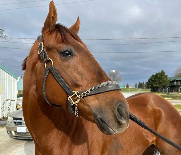 Max is now available