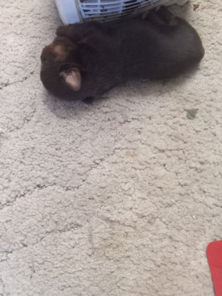 Contact me for more information please