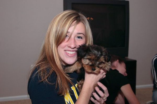 Adorable Yorkshire Terrier Puppies For Adoption