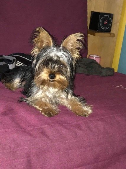 ready for a new home