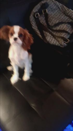 Meet Cooper Alexander