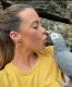 African Grey Birds for sale in Dr SW, South Fulton, GA 30349, USA. price: NA